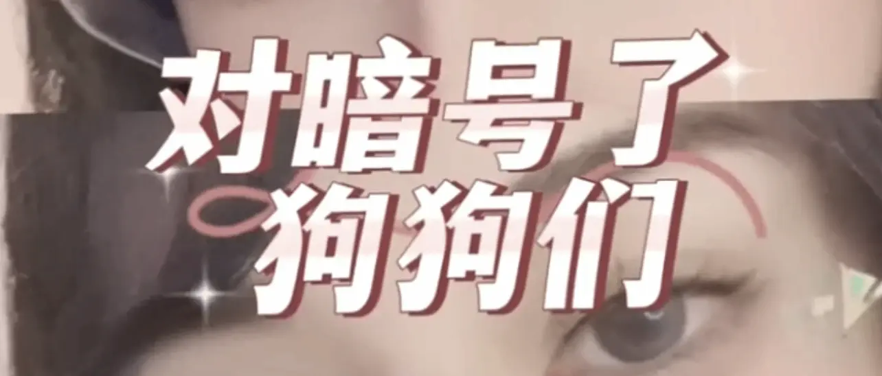 探索ds关系背后的秘密：在权力与臣服之间的迷人旅程 一