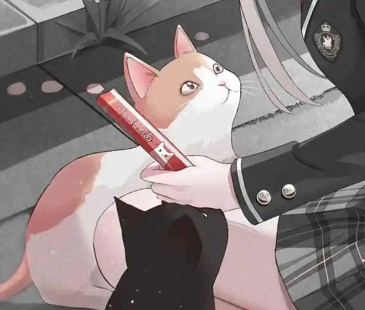 西檬之家s属性是什么？你的字母圈身份 一