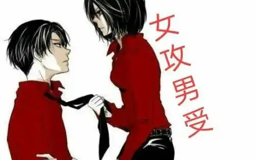 西檬之家k8是什么?你的字母圈属性是什么 一