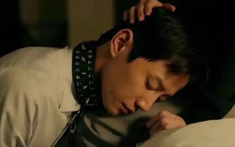 西檬之家DS关系是什么? 一