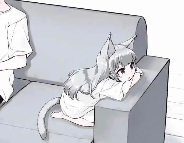 西檬之家sp小圈是什么? 一