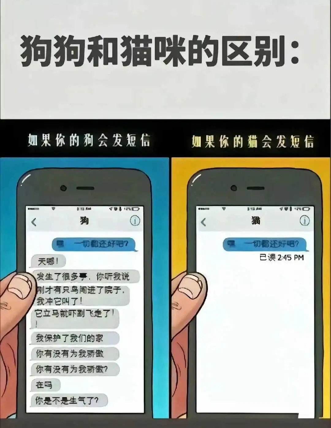 西檬之家-k9是什么 一