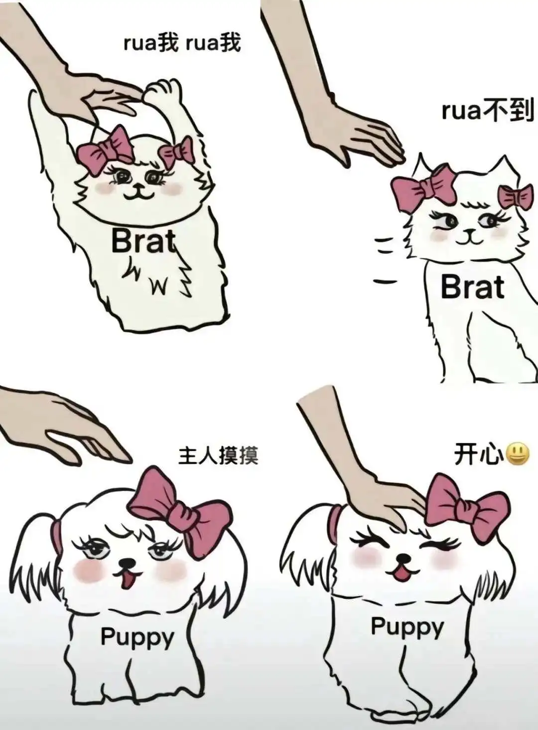 西檬之家字母圈DS关系详解 一