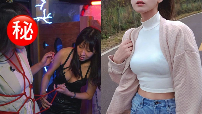 西檬之家s属性是什么?字母圈新人如何判断 一