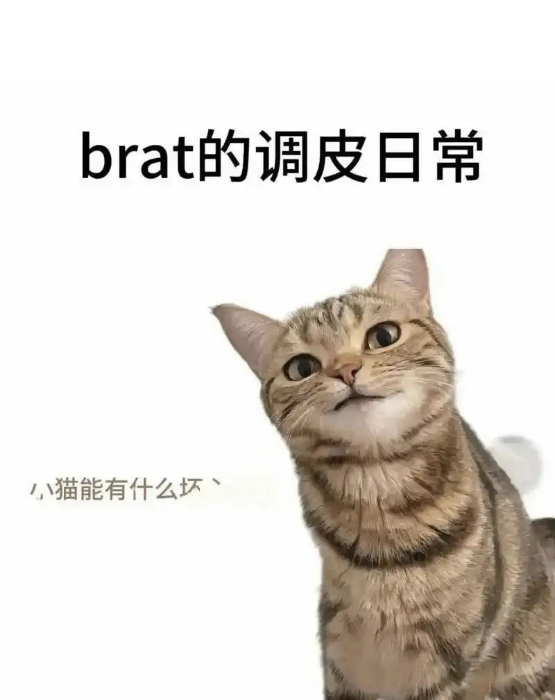 西檬之家s倾向是什么?字母圈新人必读 一