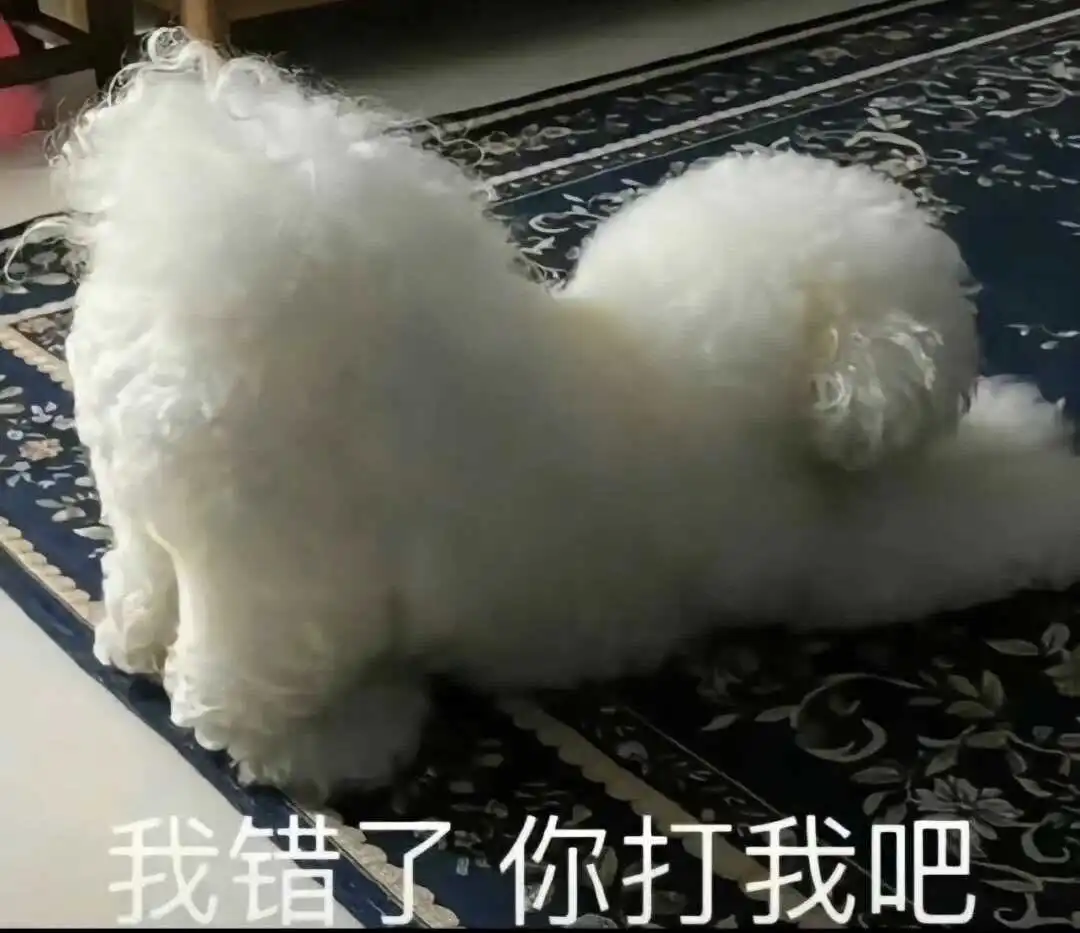 西檬之家字母圈M倾向怎么判断? 一
