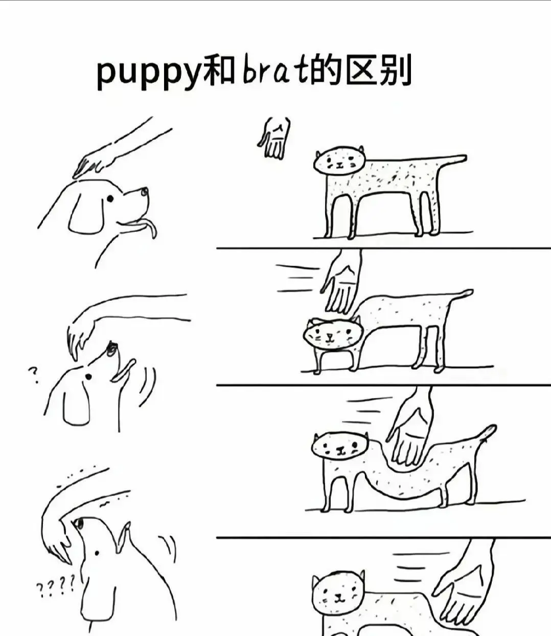 西檬之家字母圈k8猫系是什么意思? 一