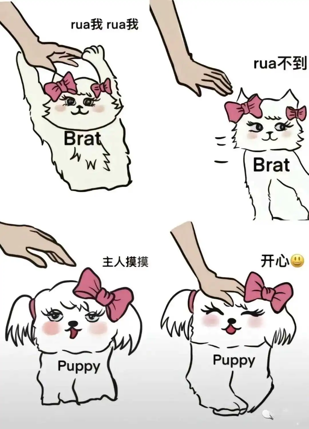 西檬之家BDSM入圈必读:新人避坑指南 一
