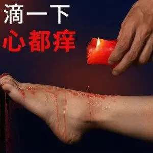 西檬之家s属性详解:你是哪种S? 一